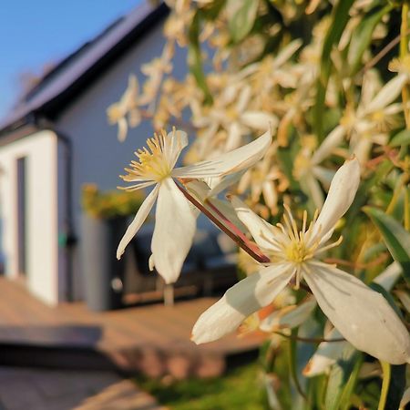 Hastings Casita, 'Little House' Self Contained Garden Lodge, Close To Town And Seafront المظهر الخارجي الصورة