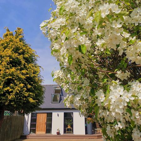 Hastings Casita, 'Little House' Self Contained Garden Lodge, Close To Town And Seafront المظهر الخارجي الصورة