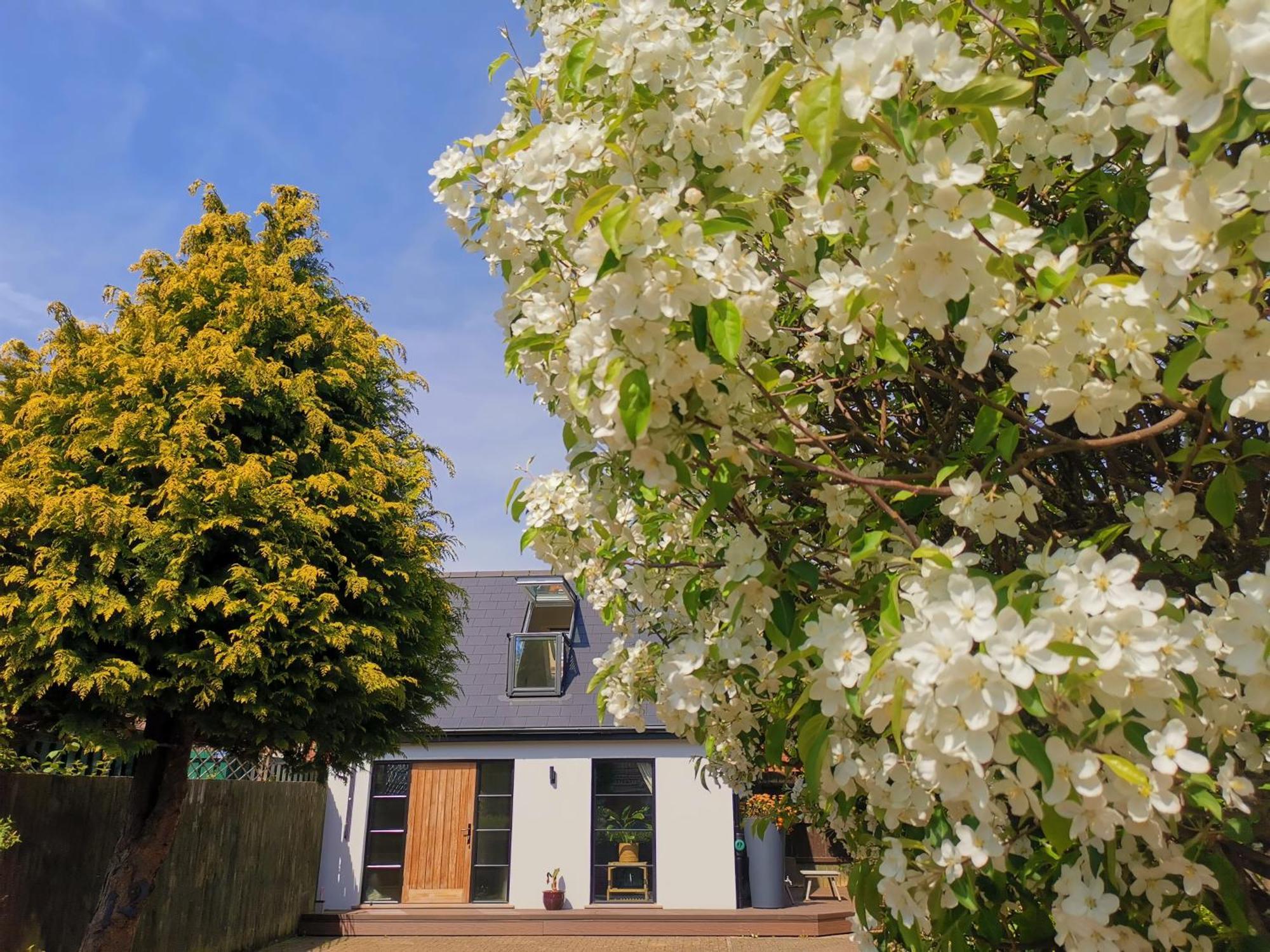 Hastings Casita, 'Little House' Self Contained Garden Lodge, Close To Town And Seafront المظهر الخارجي الصورة